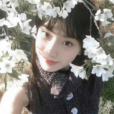 我的猪队友