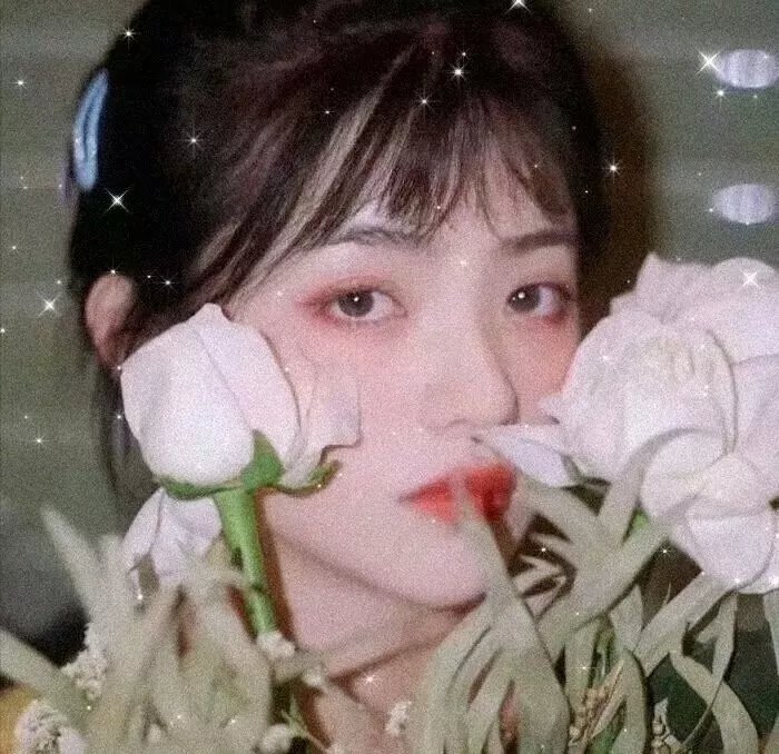 花之锁
