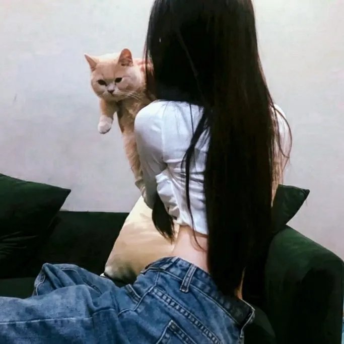 偶像大师闪耀色彩